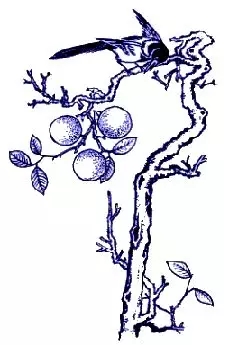 11.webp.jpg