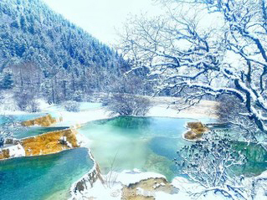 05.jpg