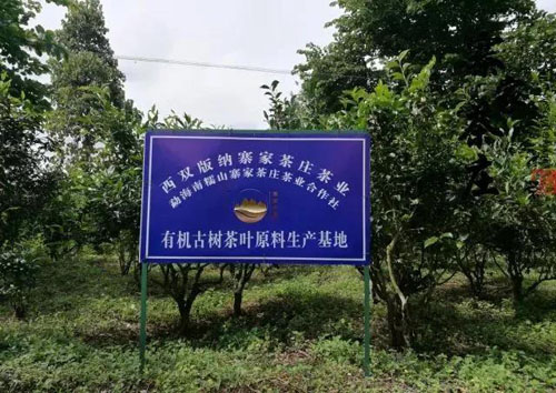 05.jpg